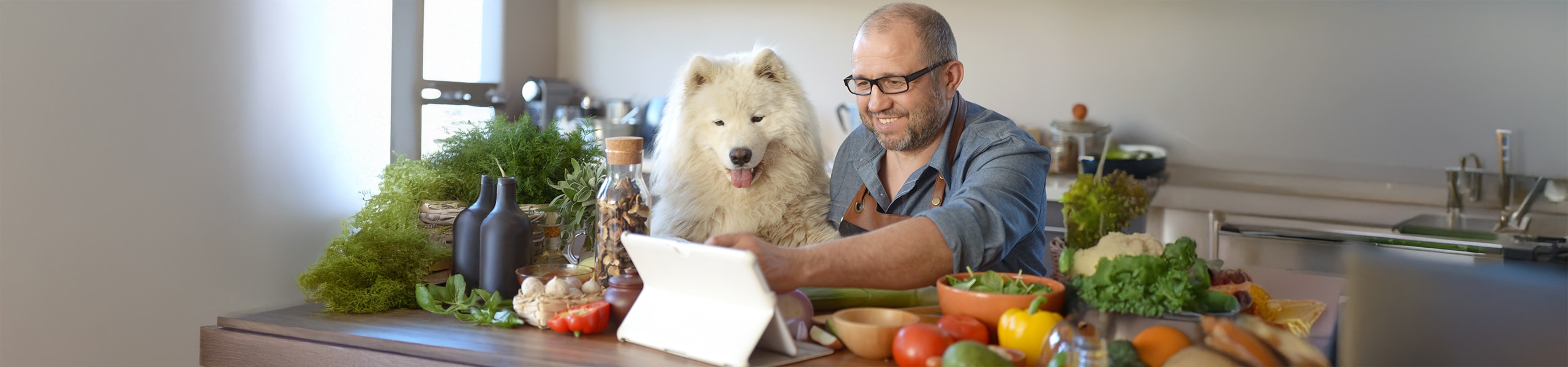 Person planning a healthy meal with their dog