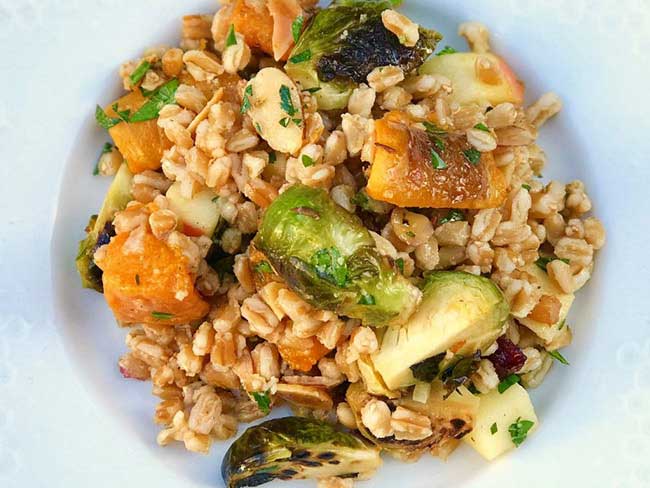 farro grains mixed with diced apples, cranberries, chunks of brussels sprouts and butternut squash 