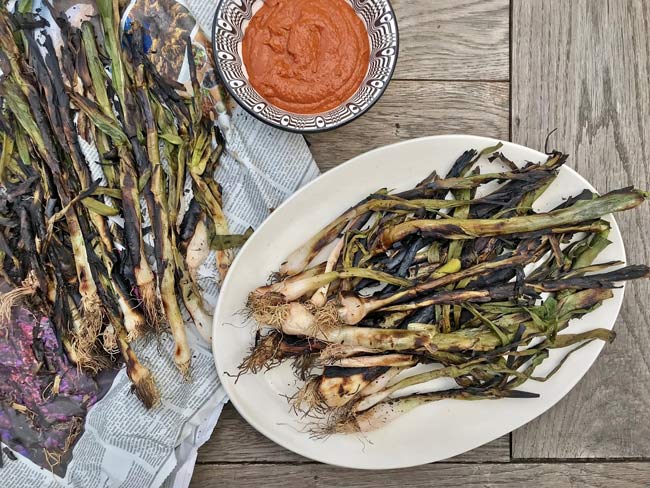 Grilled green onions with slightly charred leaves and a small bowl containing romesco sauce