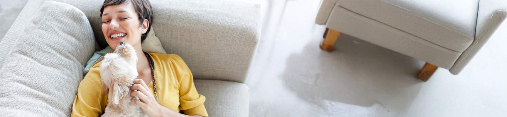 Person and dog playing on couch