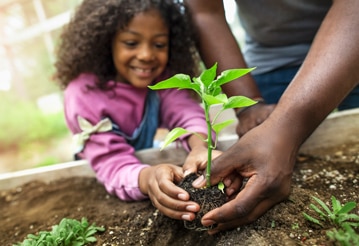 Child planting sprout in a garden