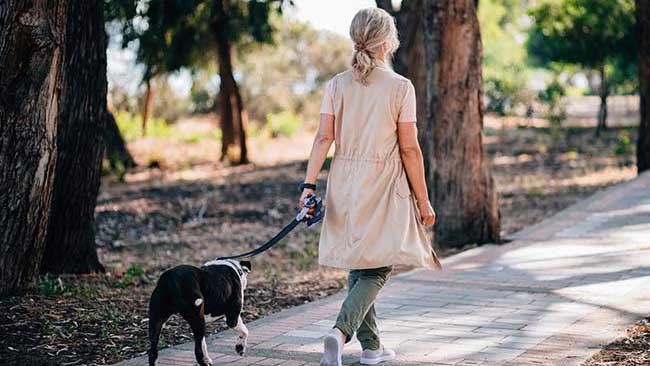 Woman walking dog outdoors
