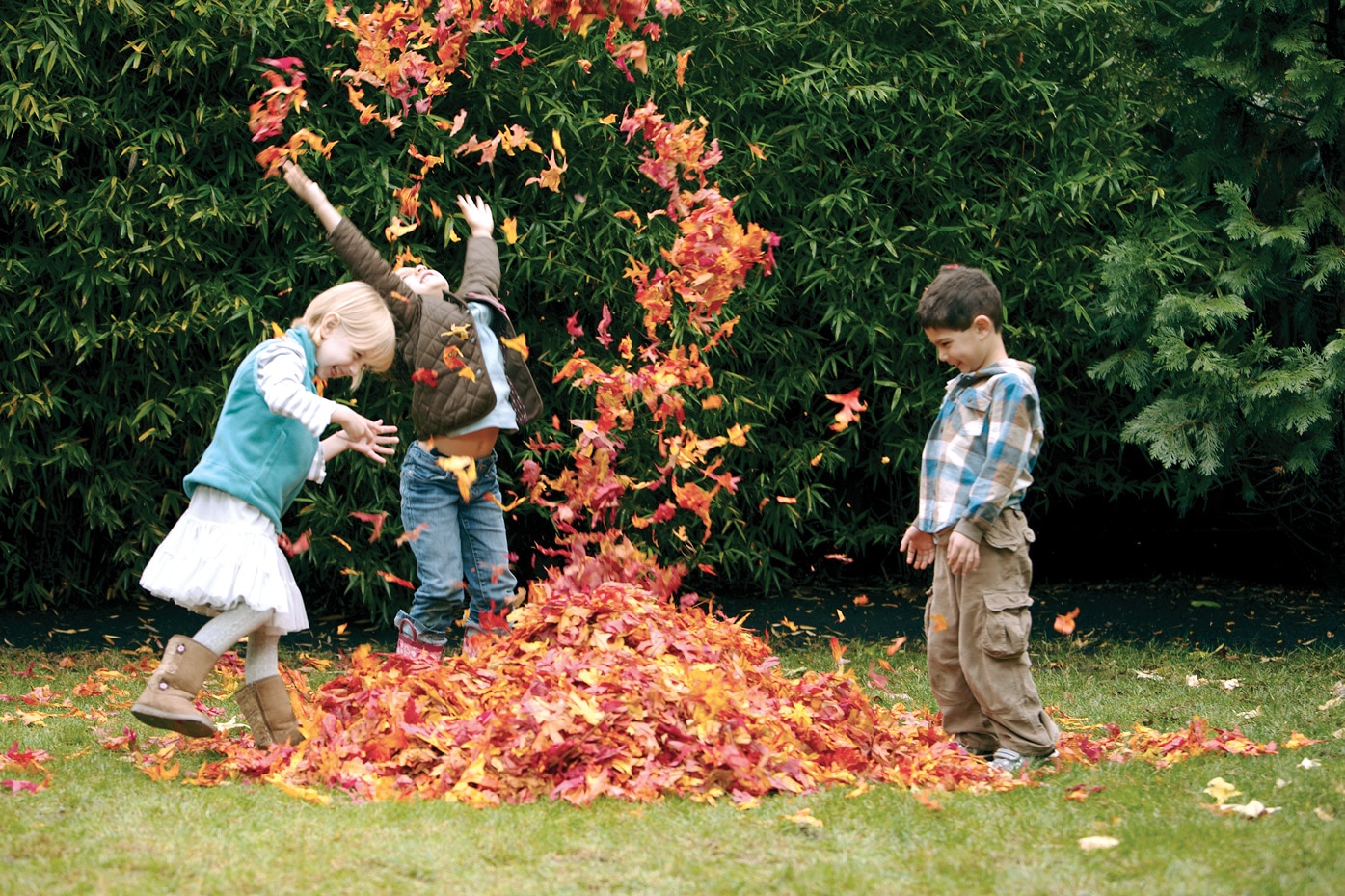 Children playing in a pile of leaves