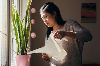 Person watering a plant