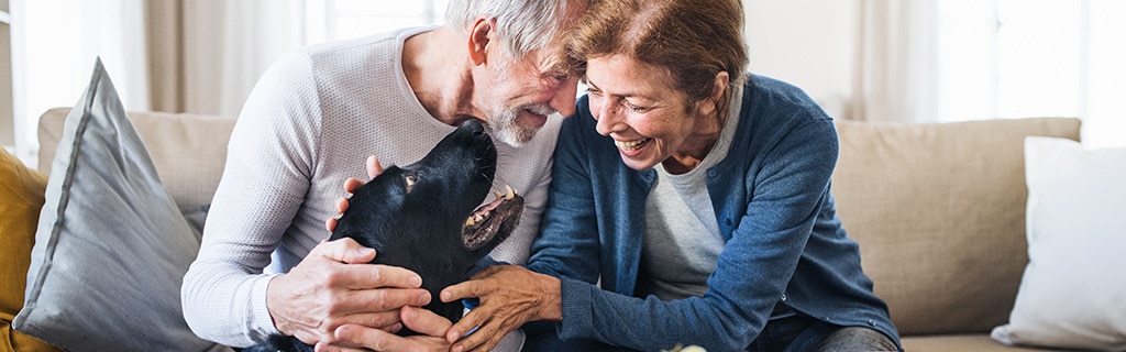 Older couple sits on couch and pets a dog