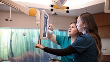 Medical staff viewing imaging on a digital screen