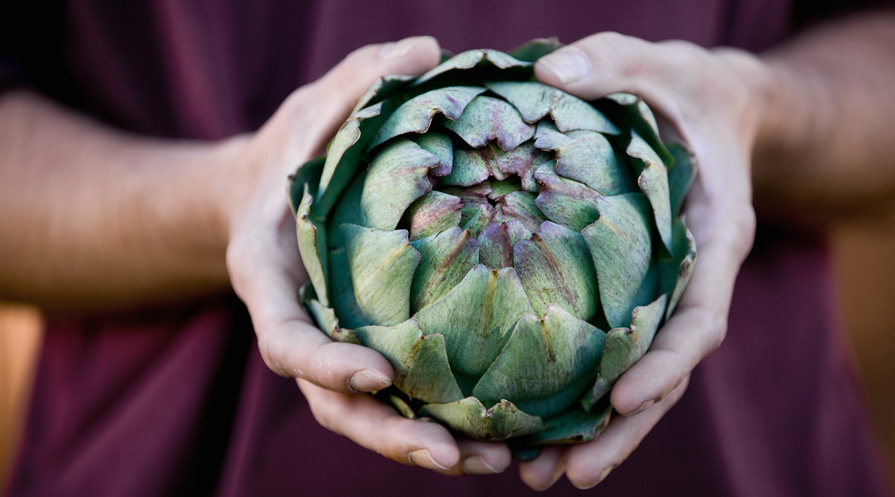 hand holding an artichoke