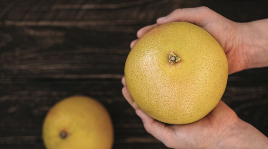 hand holding a grapefruit