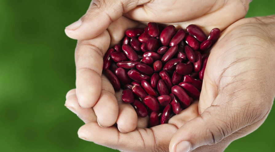 Handful of kidney beans