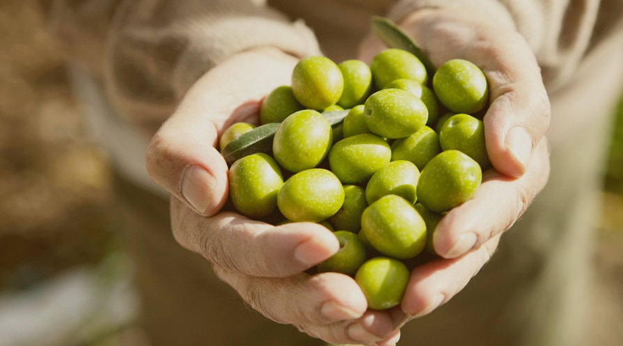 handful of olives