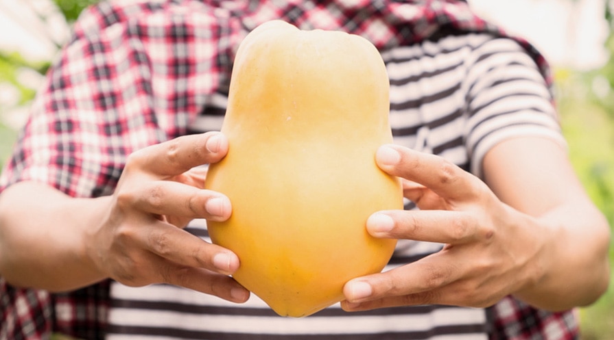 hands holding a papaya