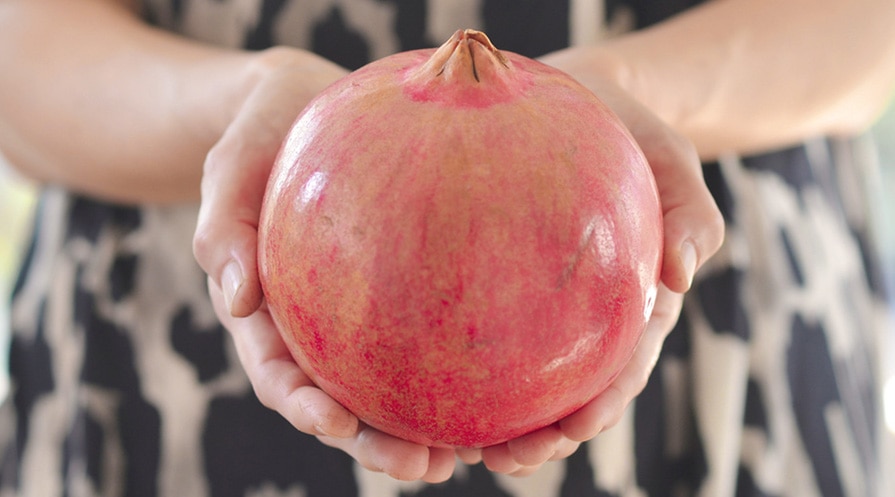 hands holding pomegrante