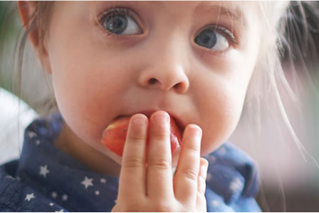 Toddler eating from a plate of broccoli and tomatoes