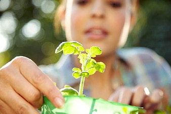 Person gardening