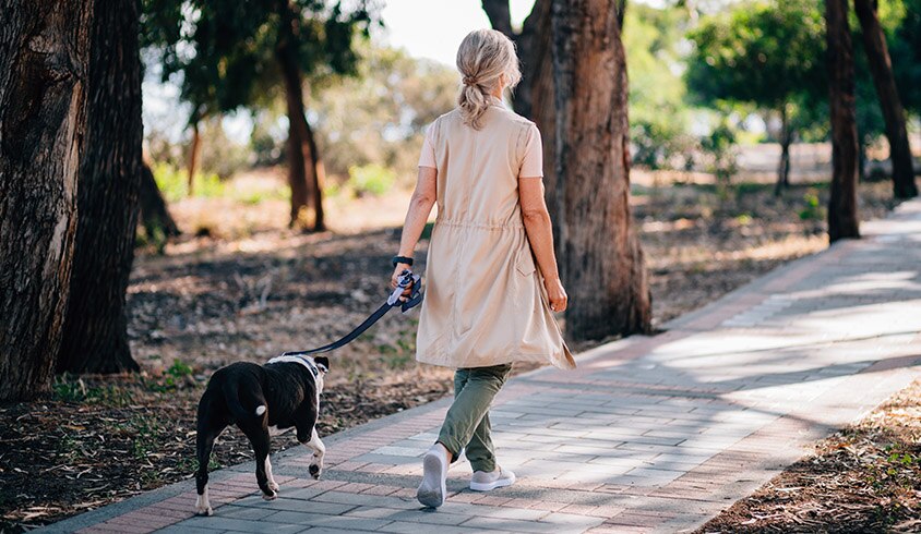 Person walking dog in park