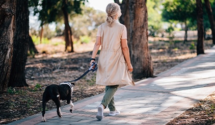 Person walking dog in park