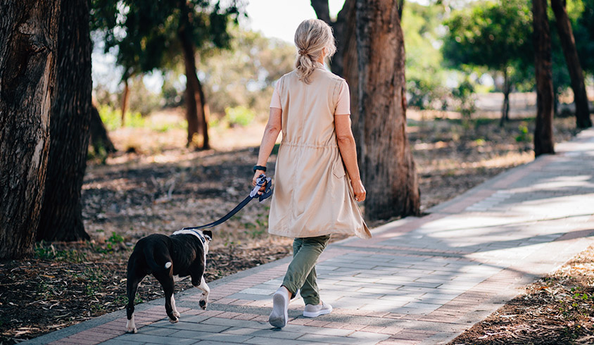 Person walking dog in park