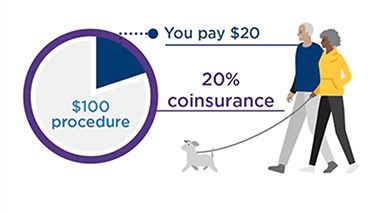 An example of coinsurance that shows a $100 procedure with 20% coinsurance 