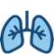 Lungs icon