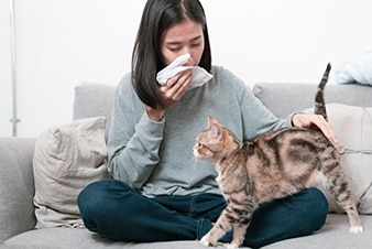 Person blowing their nose while petting their cat